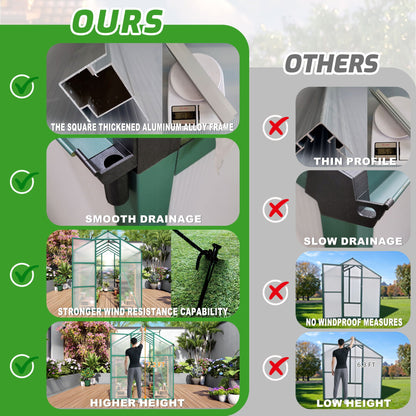 Strong Polycarbonate Walk In Greenhouse and Porch