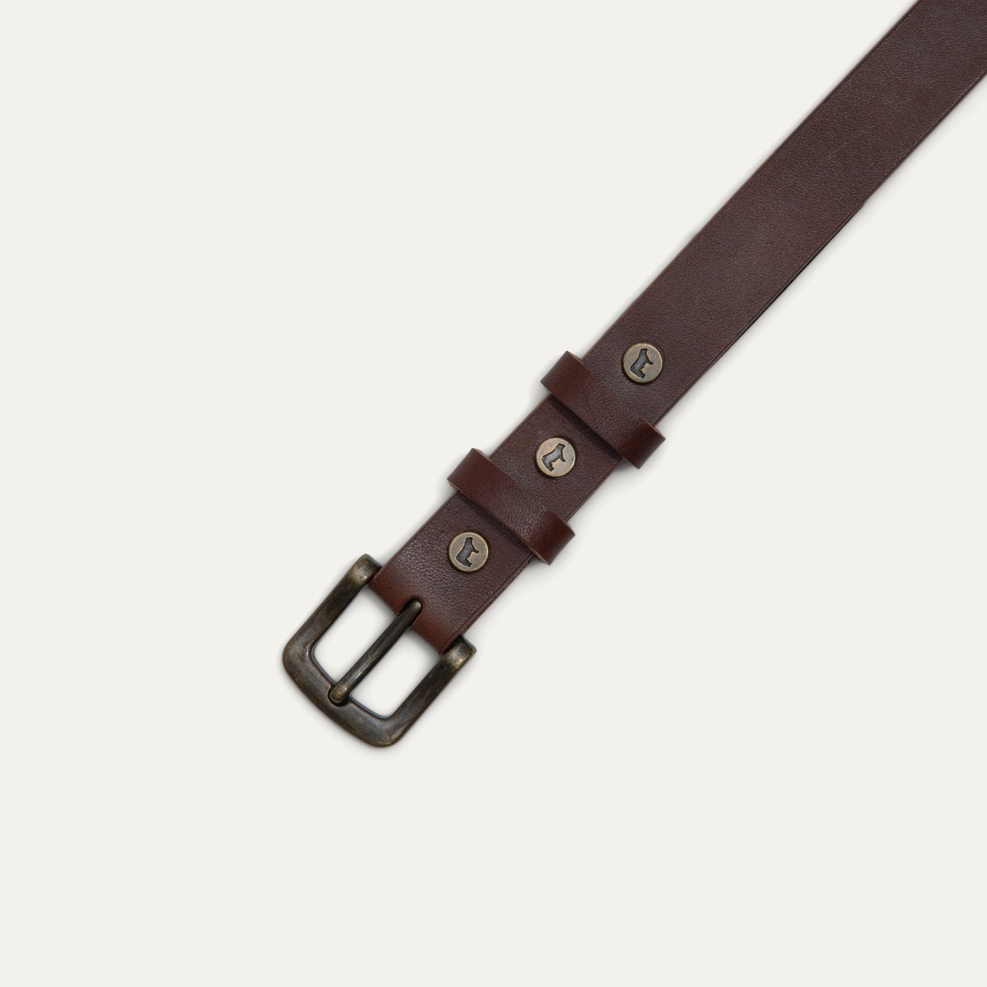 Classic Double Loop belt brown leather with brass buckle and loops Will Leather Goods on Tampa Home & Garden Store