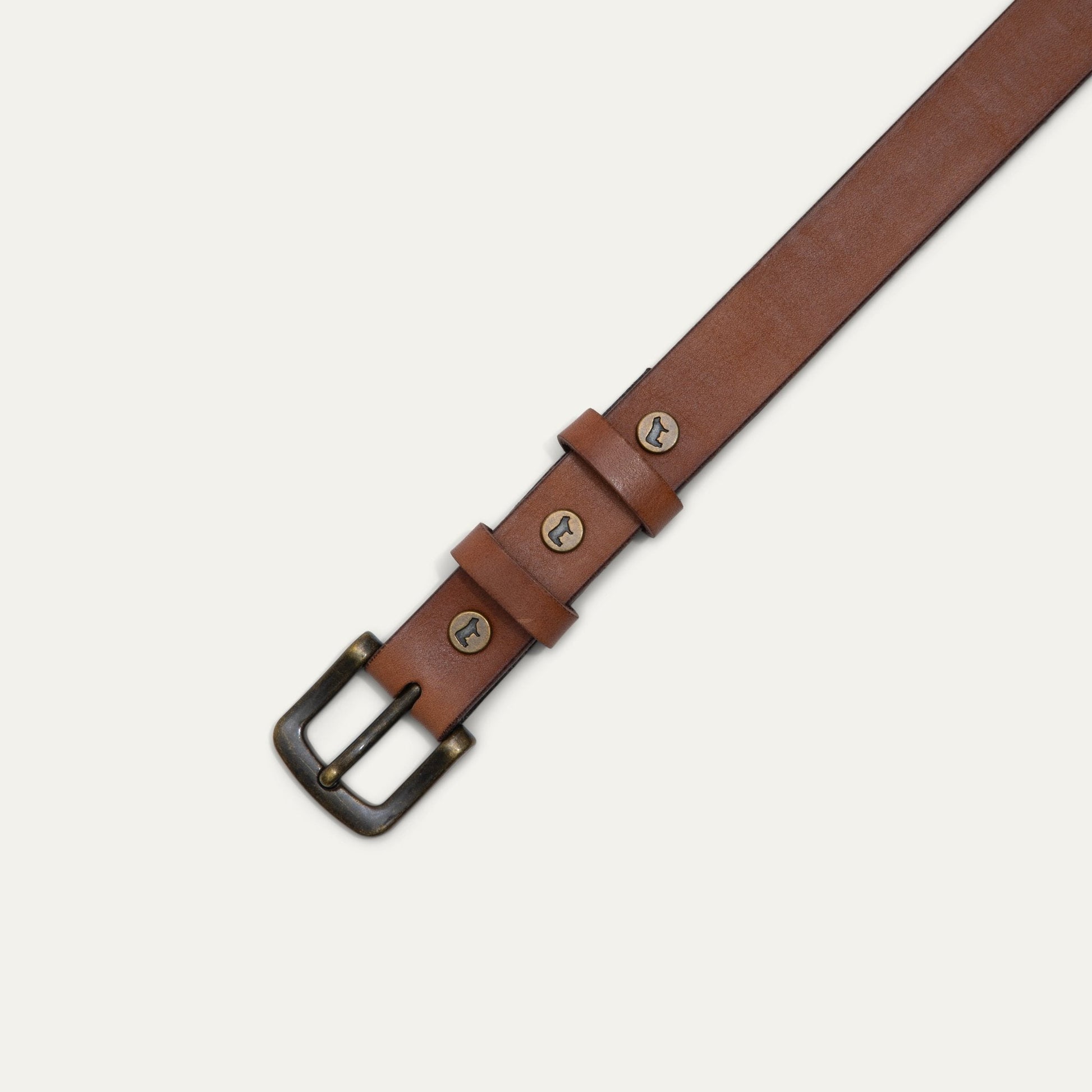 Classic Double Loop belt by Will Leather Goods in brown leather with brass buckle on Tampa Home & Garden Store