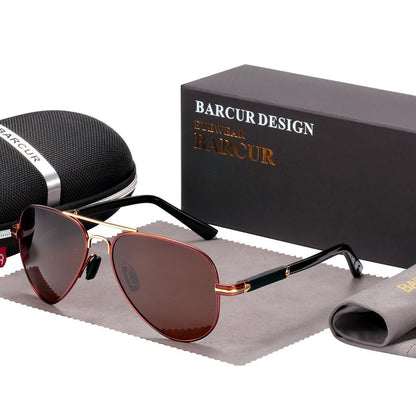 Stevvex aviator sunglasses polarized brown lenses gold frame black temples UV400 Barcur case on Tampa Home & Garden Store