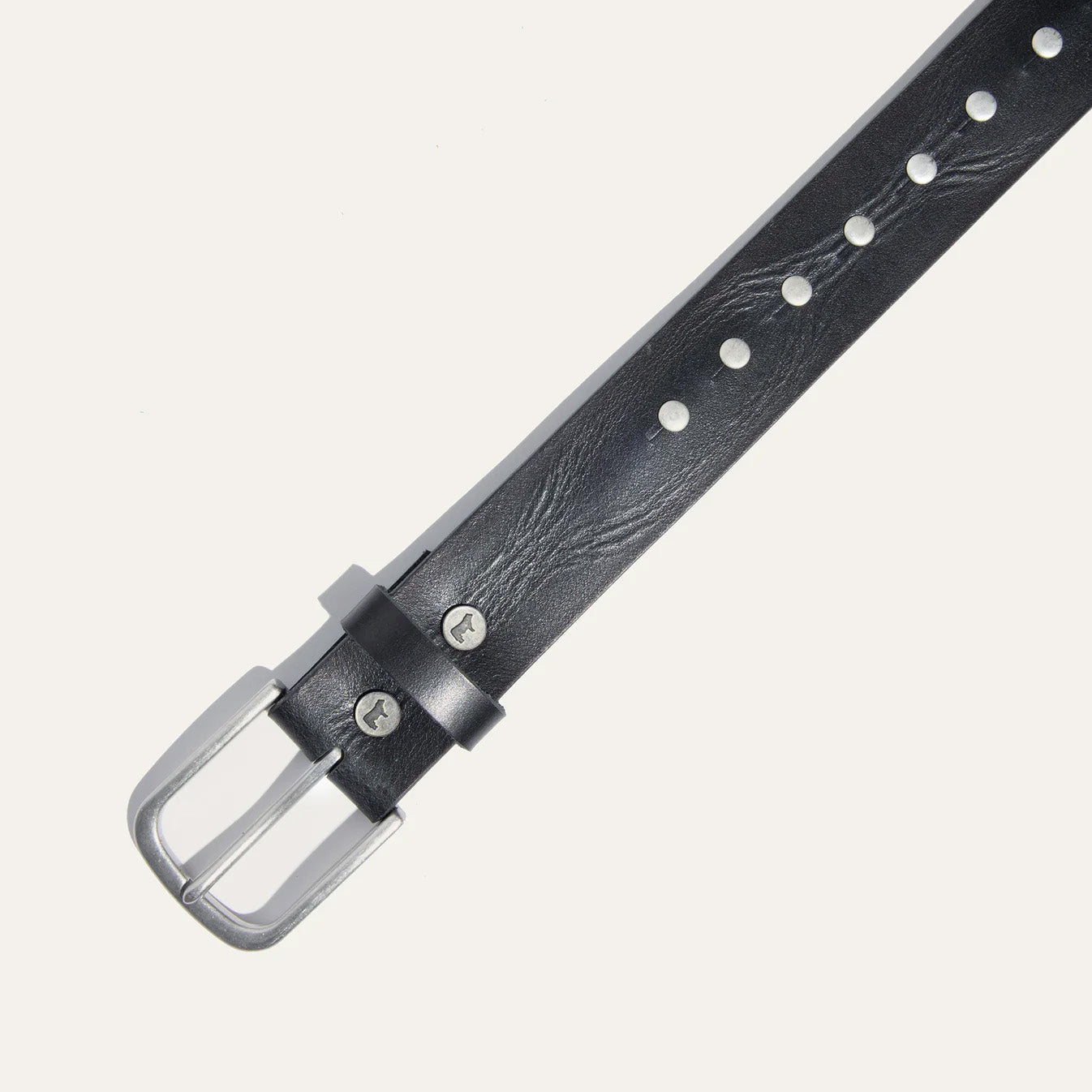 Single Studded Belt in black leather with silver buckle and round studs on Tampa Home & Garden Store