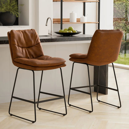 Danika Counter Height Stool Set of 2 for Kitchen