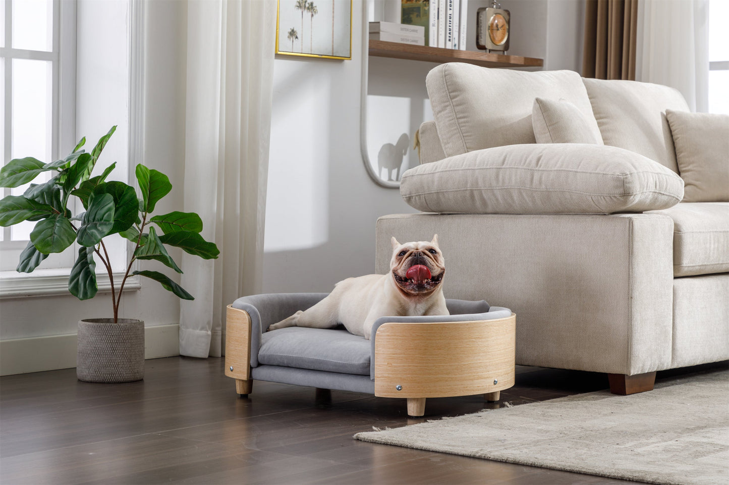 HouseOfZazla Scandinavian Style Elevated Dog Bed with velvet light grey cushion mid size on Tampa Home & Garden Store