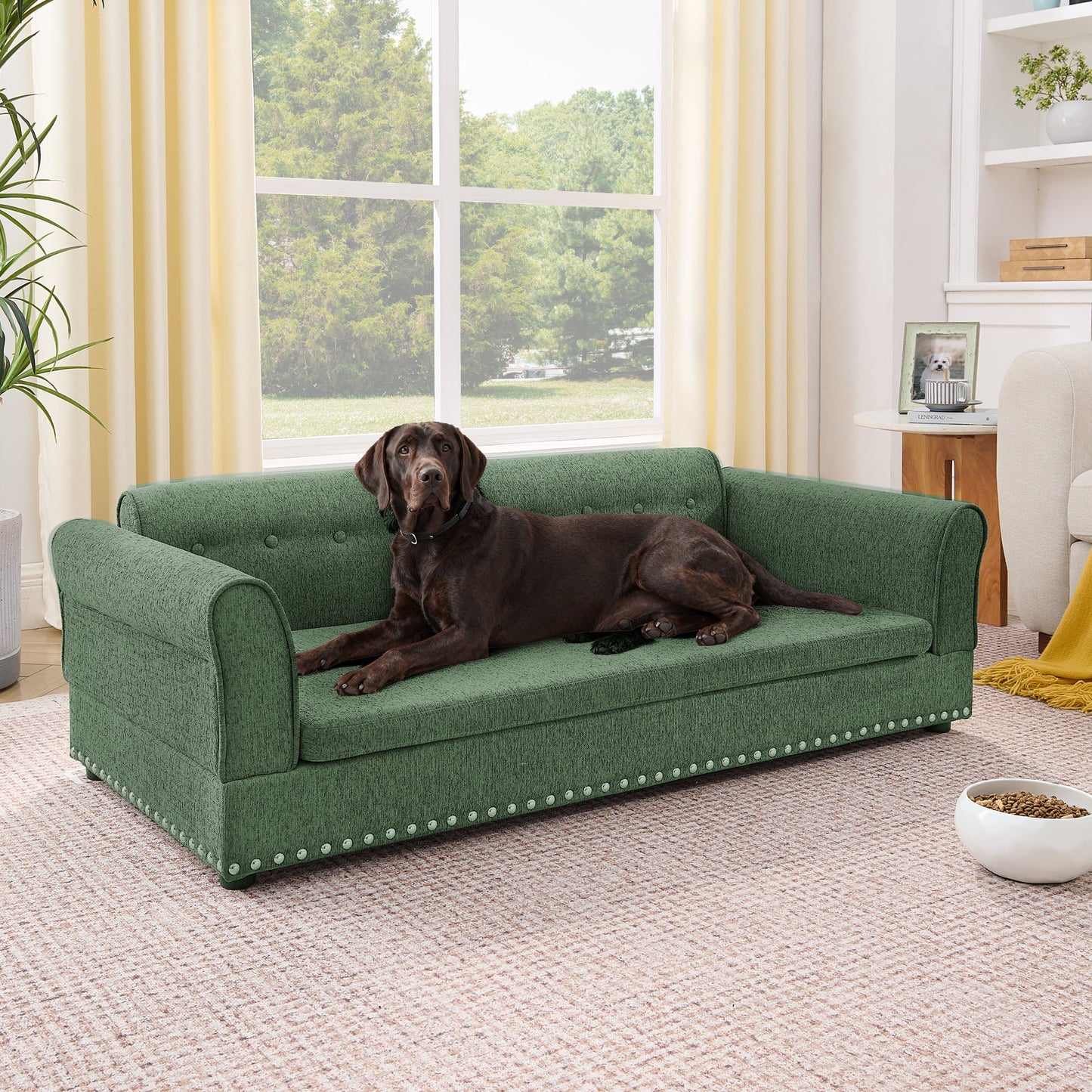 Oversized Pet Sofa green textured upholstery with nailhead trim for modern design on Tampa Home & Garden Store