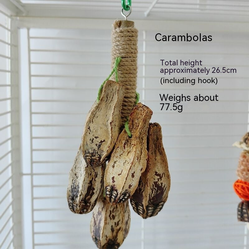 Carambolas parrot toy cluster on natural rope perch with seed pods for bird cage on Tampa Home & Garden Store