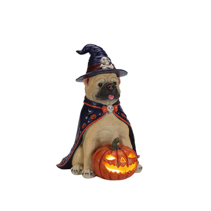 HouseOfZazla Halloween Bulldog Witch Statue with LED Jack-O-Lantern Pumpkin, purple hat and cape on Tampa Home & Garden Store