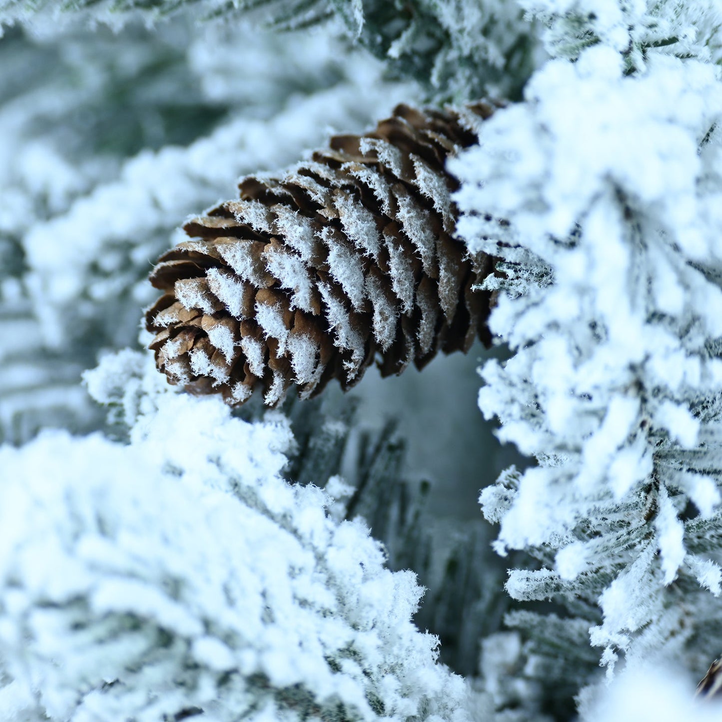 Pine cone with frost on snow-dusted evergreen branch, HouseOfZazla decor on Tampa Home & Garden Store