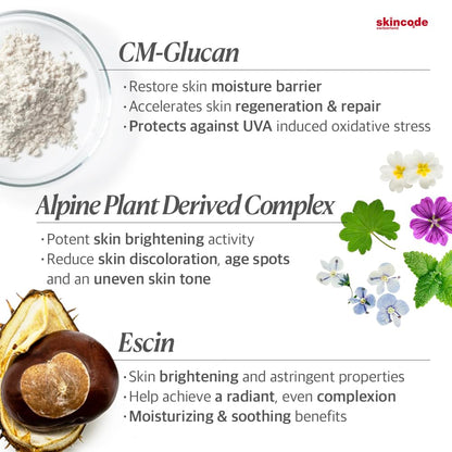 Eye cream Beauty Care Bag Skincode Brightening Eye Contour Cream with CM-Glucan on Tampa Home & Garden Store