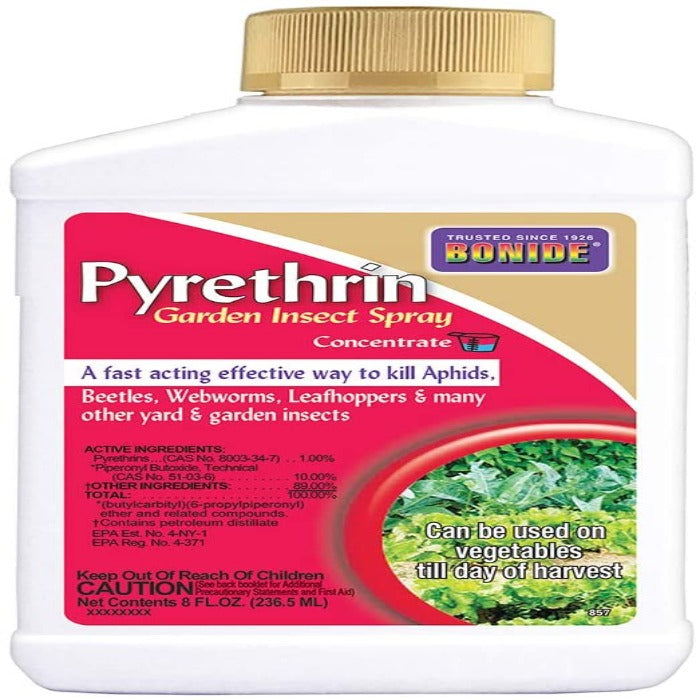 Bonide Pyrethrin Garden Insect Spray Concentrate bottle with pink beige label and gold cap on Tampa Home & Garden Store