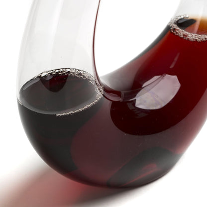 Curved Glass Wine Decanter and Aerator 25 Oz