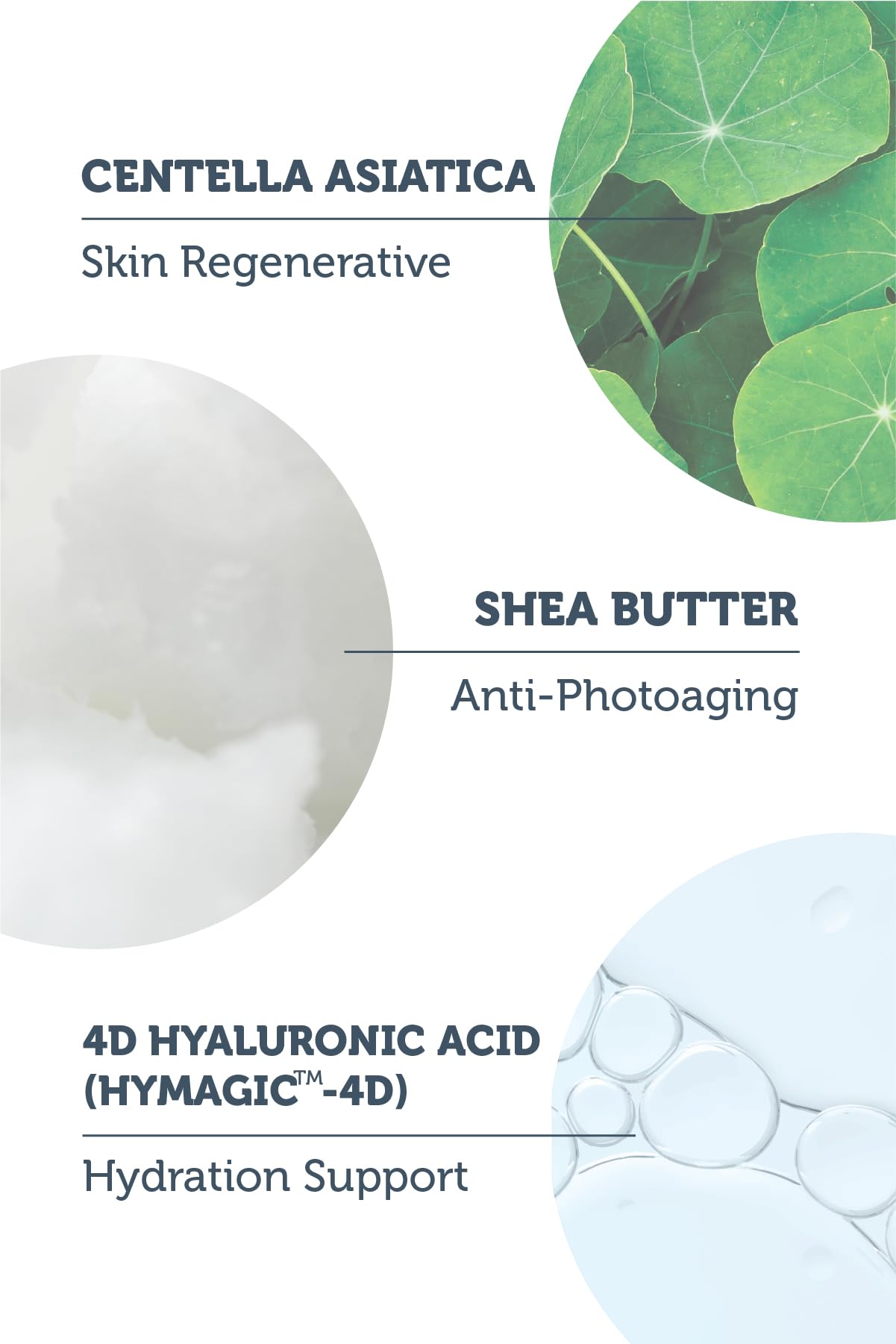 Purest Solutions toner infographic by Beauty Care Bag highlighting centella asiatica, shea butter, 4D hyaluronic acid on Tampa Home & Garden Store