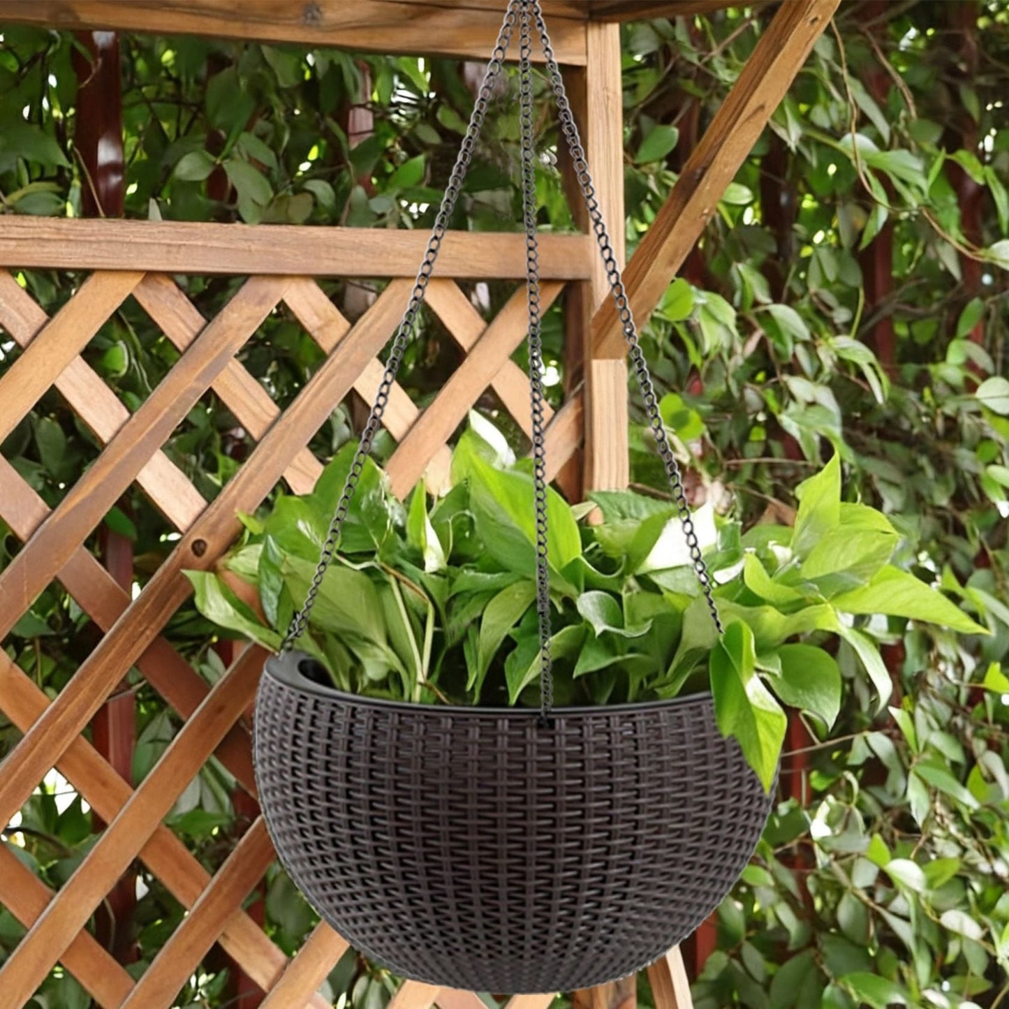 Self Watering Hanging Planter by HouseOfZazla, large black woven basket with metal chain hanger on Tampa Home & Garden Store