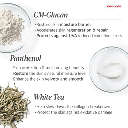 Face cream infographic with CM-Glucan and Panthenol; cream swirl and White Tea; Skincode logo on Tampa Home & Garden Store