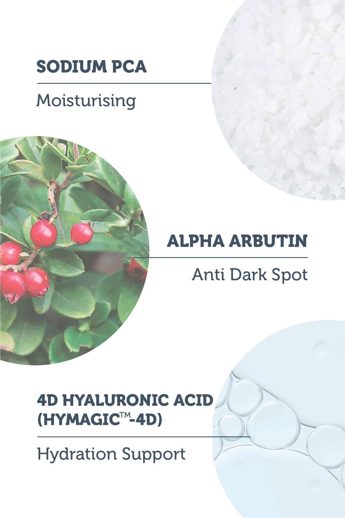 Face serum set with Sodium PCA, Alpha Arbutin, 4D Hyaluronic Acid hydration on Tampa Home & Garden Store