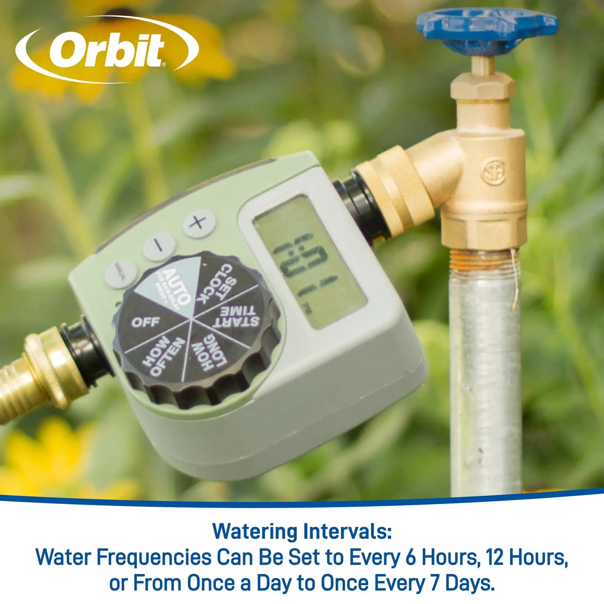 Hose faucet timer with one dial outlet brass body blue dial Orbit Irrigation on Tampa Home & Garden Store