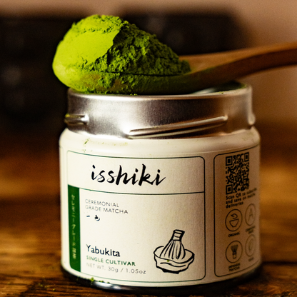 Yabukita ceremonial grade matcha by isshiki in white jar with green powder on a spoon on Tampa Home & Garden Store