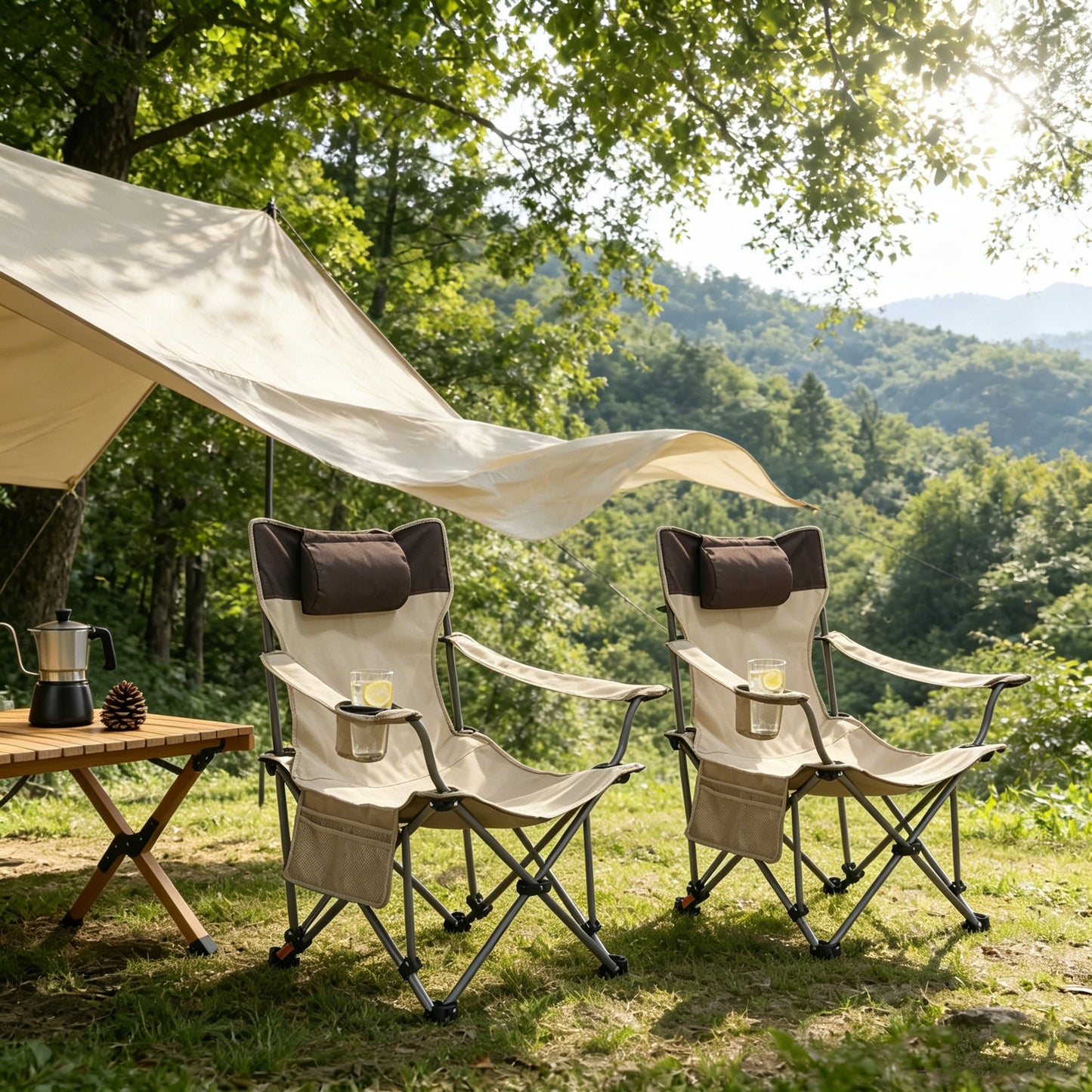 Two Comfortable Folding Outdoor Chairs and Cover