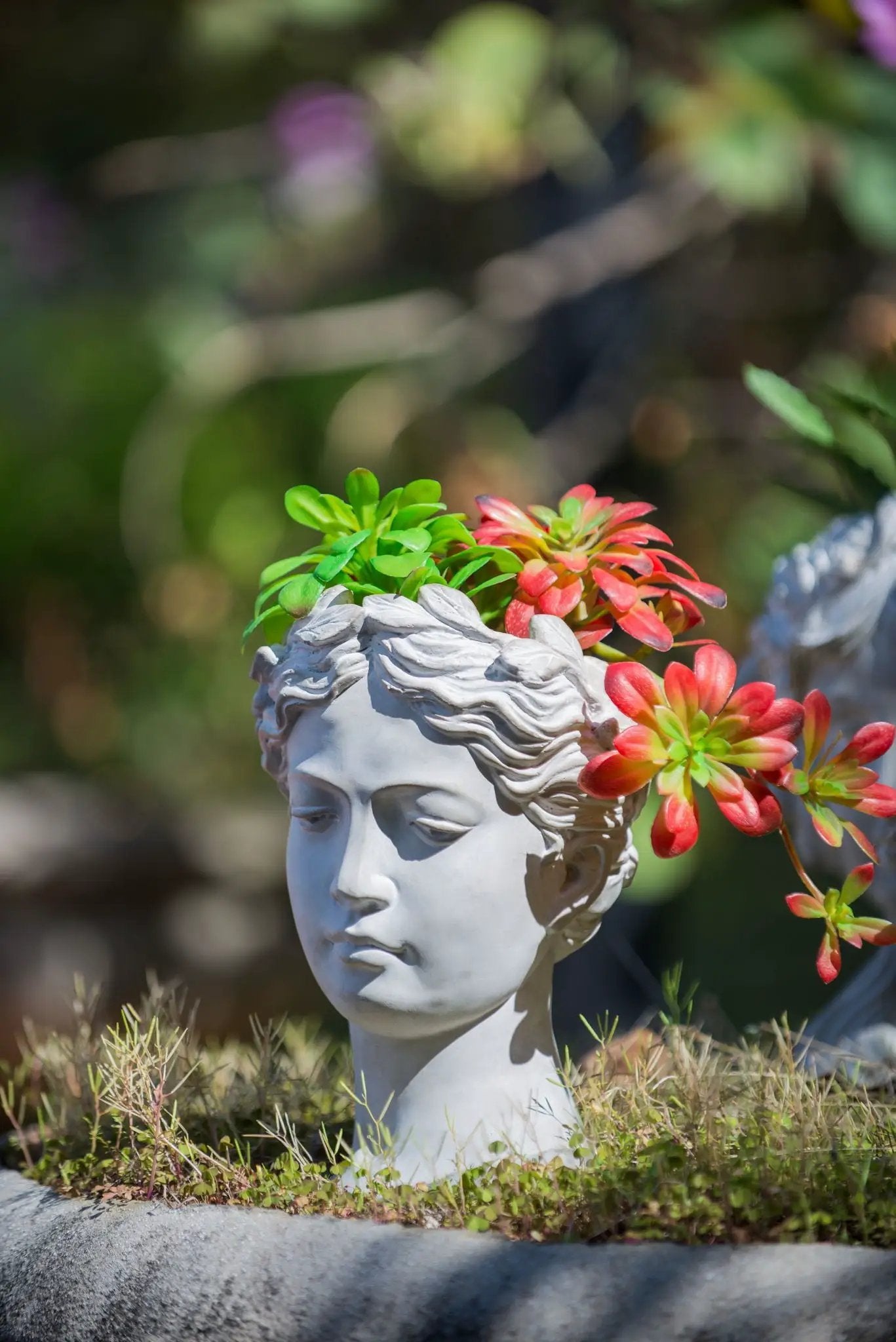 Greek Style Cement Head Planter Indoor Outdoor