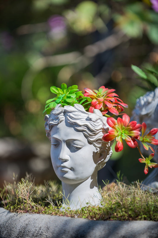 Greek-style cement head planter on a gray bust with green and red succulents on Tampa Home & Garden Store