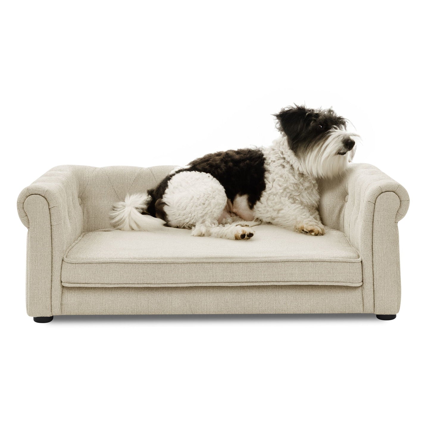 Modern Elegant Rectangle Dog Bed in beige fabric, elevated sofa design by HouseOfZazla on Tampa Home & Garden Store
