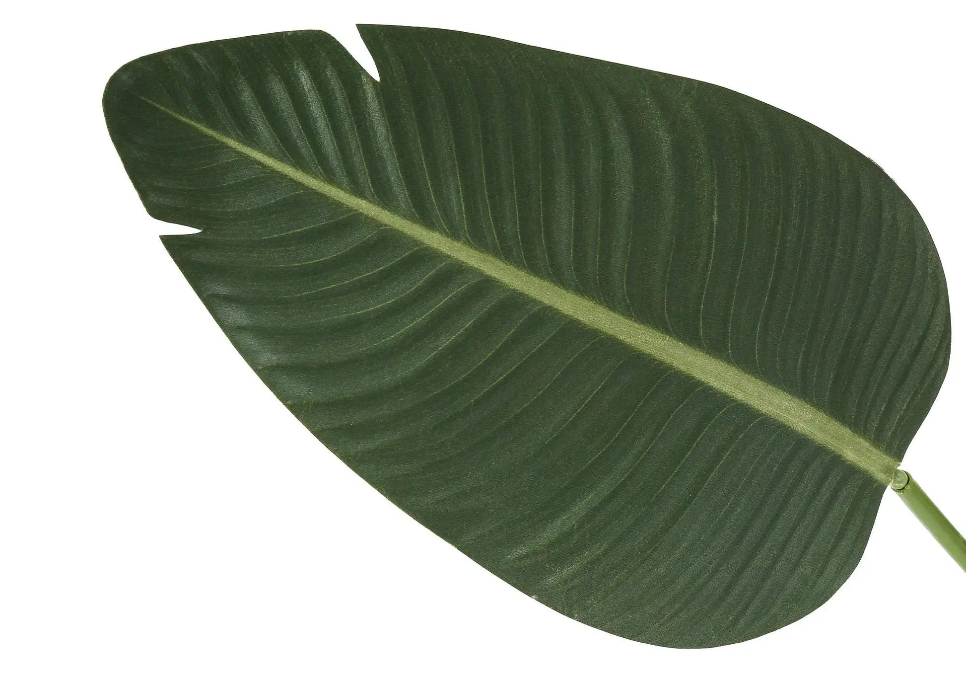 Bird of Paradise leaf close-up, dark green faux foliage for indoor decorative plant on Tampa Home & Garden Store