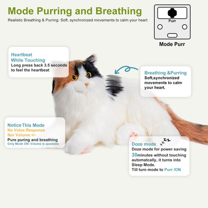 Respiration Calico Percy 2.0- Ronronnement cardiaque, voix Robonic Cat