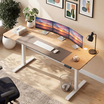 Electric Standing Desk 63x24 with Memory Presets