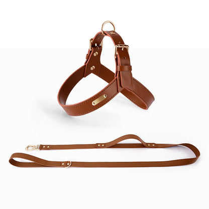 Summer Pet vest chest harness leash in brown leather with gold hardware by Pet Zen on Tampa Home & Garden Store