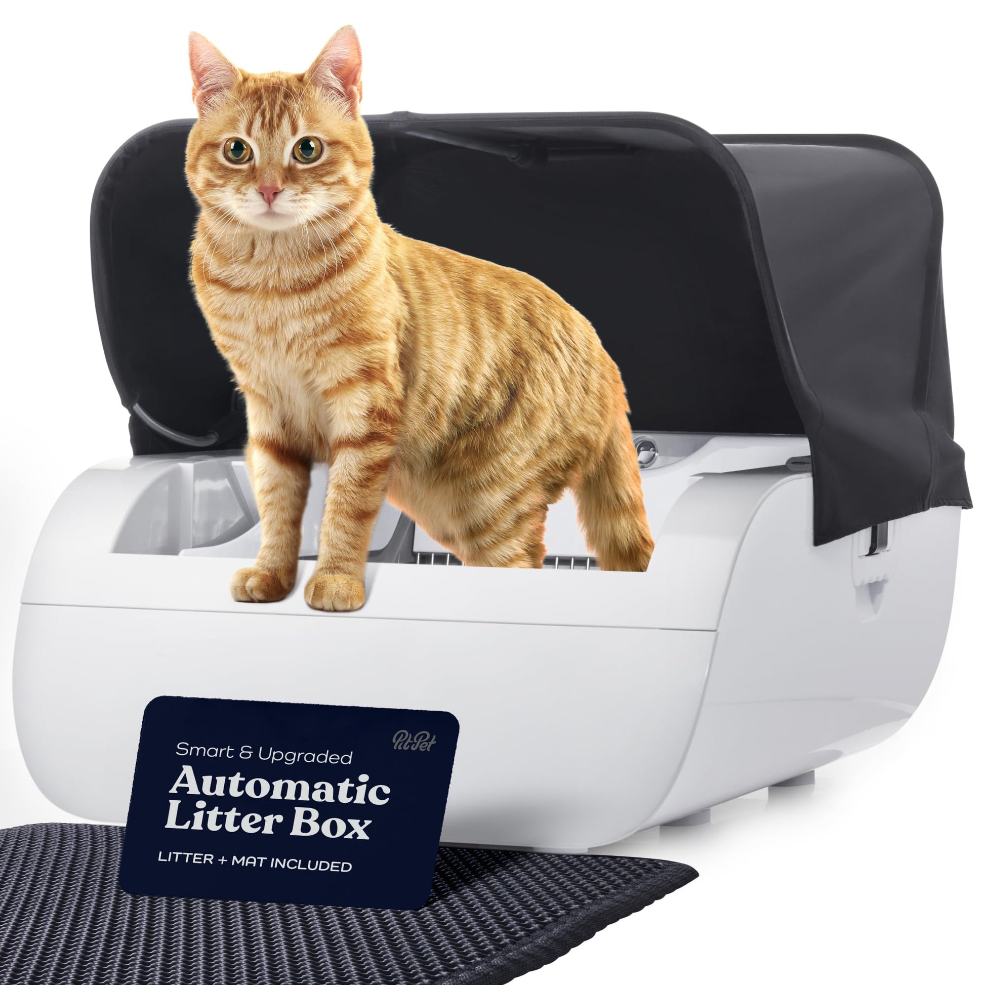 Smart Cat Litter Box With Wide Opening white base black hood cat perched on top on Tampa Home & Garden Store