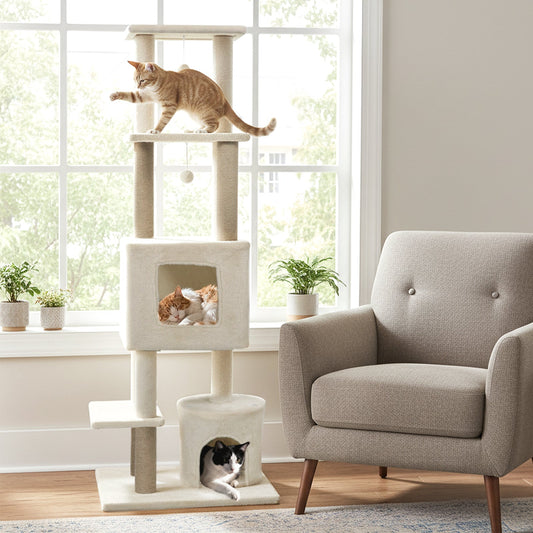 64 Inch Tall Cat Tree with 2 Large Condos and Jute Scratching Posts for Indoor Adult Cats - Tampa Home & Garden Store