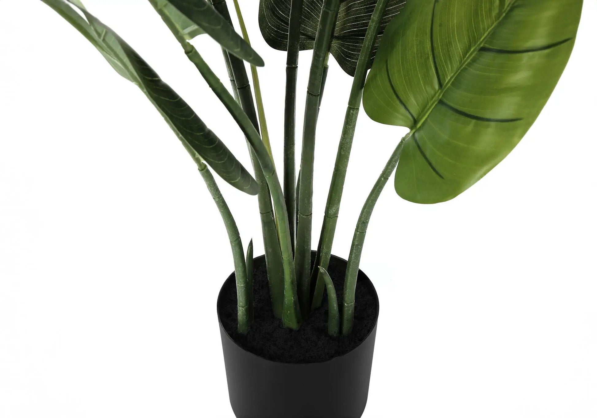 Artificial Aureum Tree plant, 37in tall with green stems and broad leaves in a black pot on Tampa Home & Garden Store