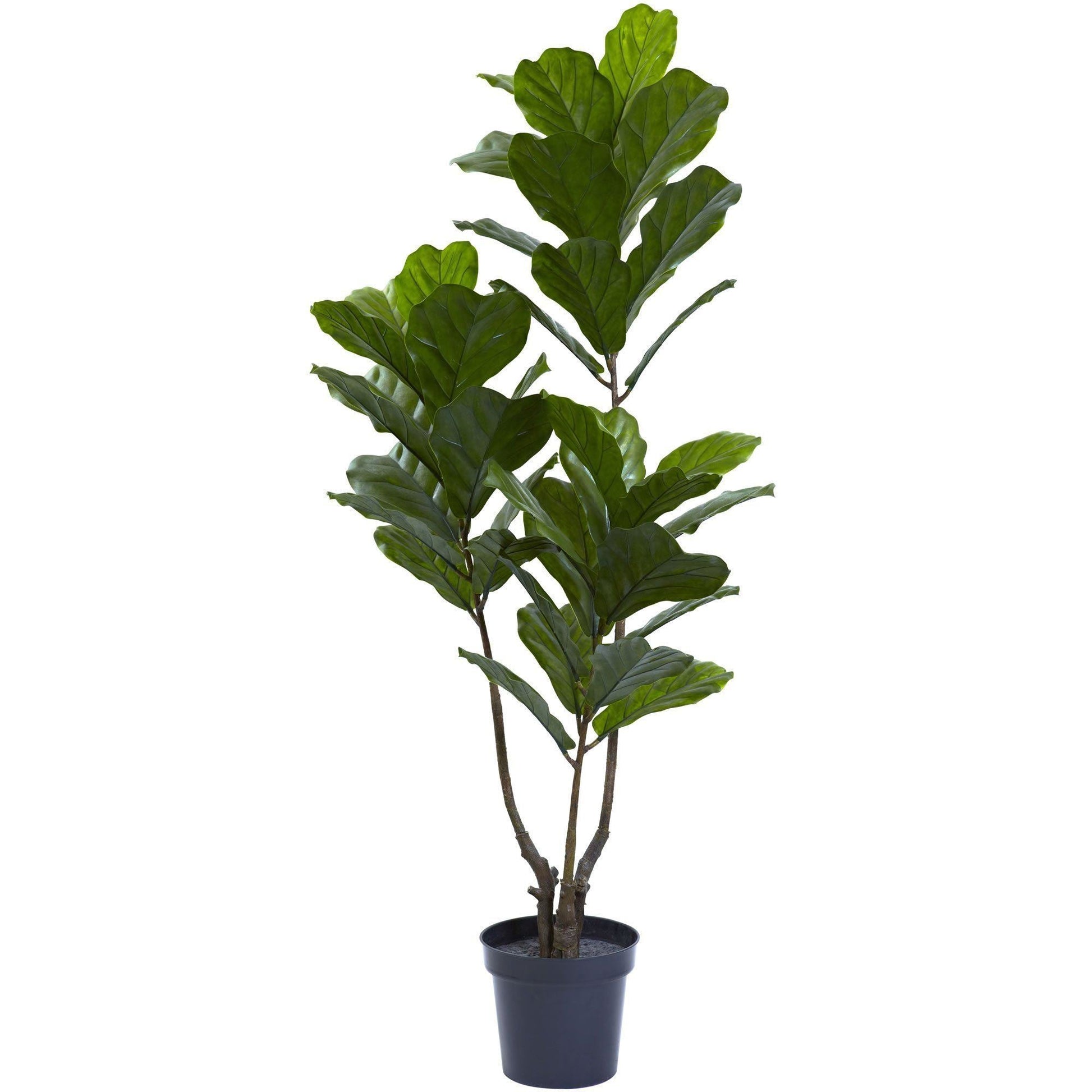 65” Fiddle Leaf Tree UV Resistant (Indoor/Outdoor) - Tampa Home & Garden Store