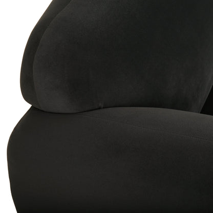 Contemporary Dark Loveseat and Velvet Sofa