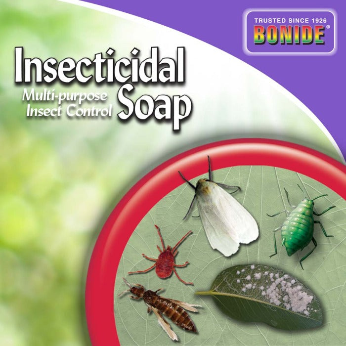 Bonide Insecticidal Soap Ready-To-Use liquid pesticide label with insect graphics on Tampa Home & Garden Store