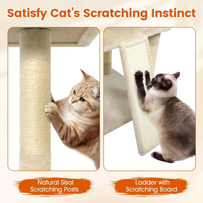 65 Inch Cat Tree Multi Level Perches and Condos