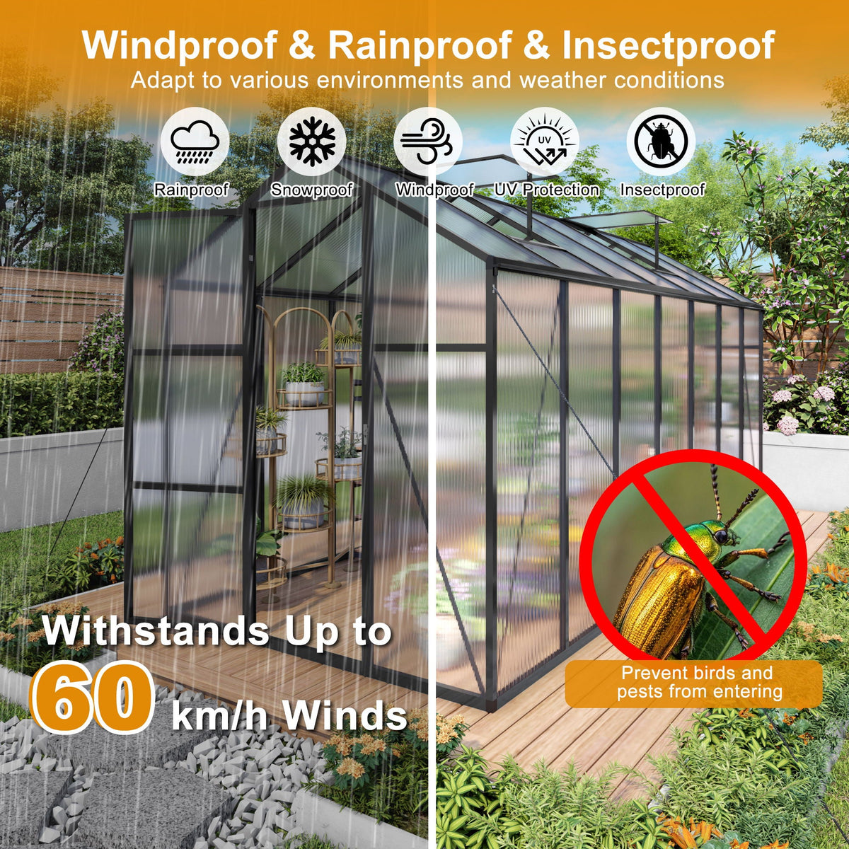 Windproof greenhouse with raised base, black frame and polycarbonate panels by HouseOfZazla on Tampa Home & Garden Store
