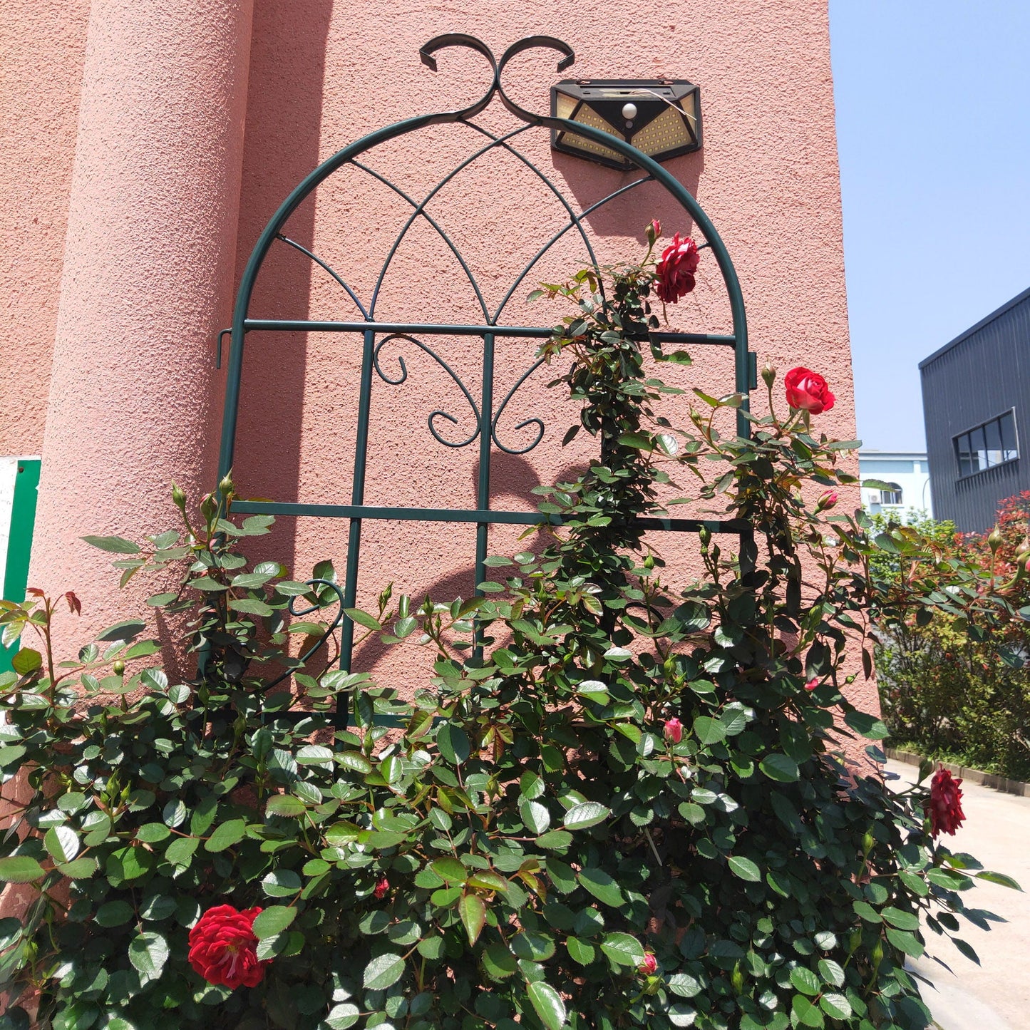 Metal Trellis For Climbing Plants And Vines