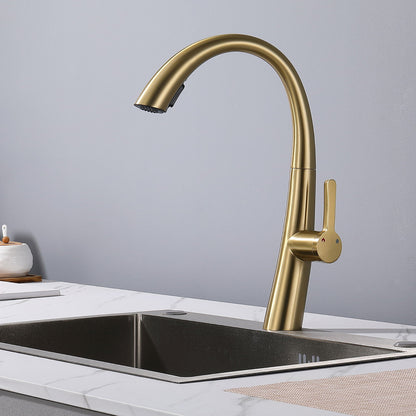 Single Handle And Stainless Steel Kitchen Faucet