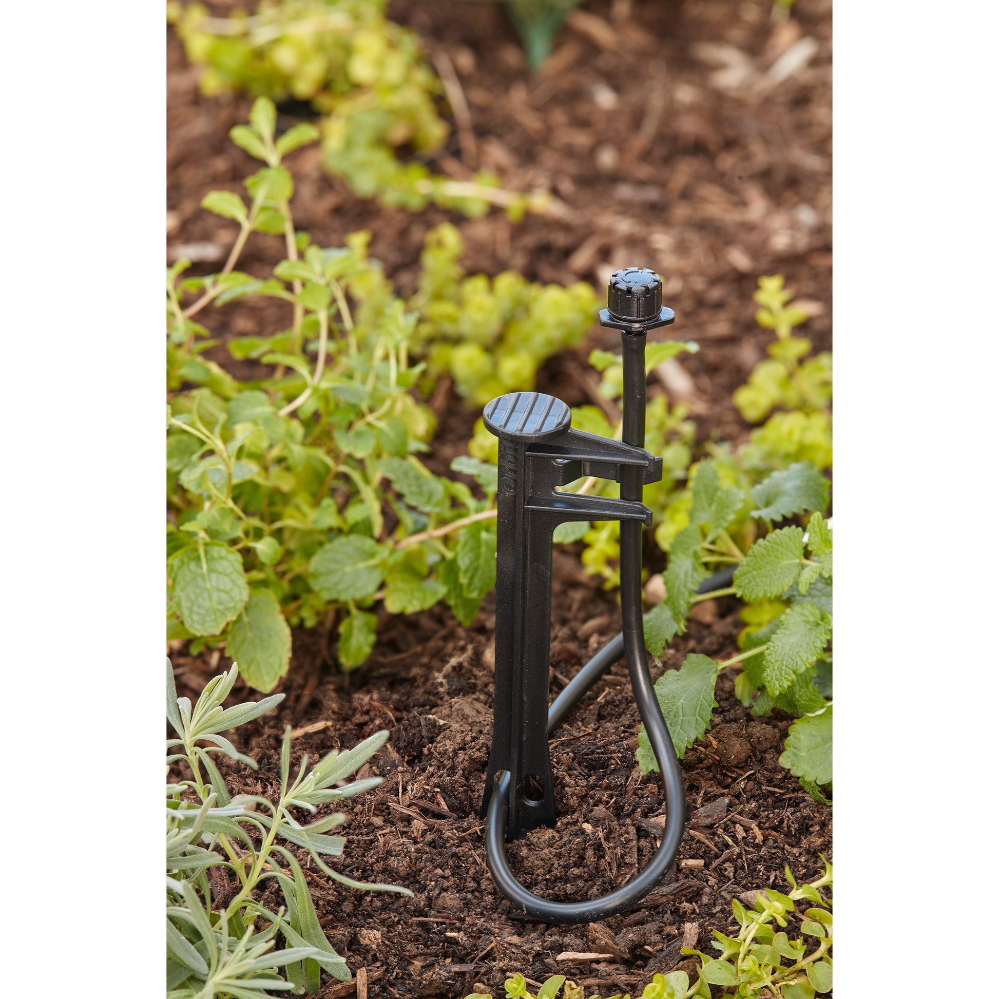Drip distribution tubing stake 1/4 in black, Orbit assembly in garden soil on Tampa Home & Garden Store