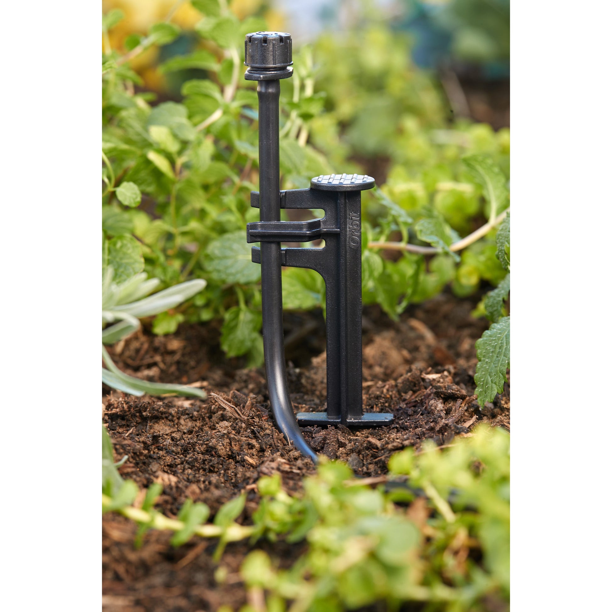 Orbit Irrigation black 1/4 in drip distribution tubing stake with top-cap emitter in garden bed on Tampa Home & Garden Store