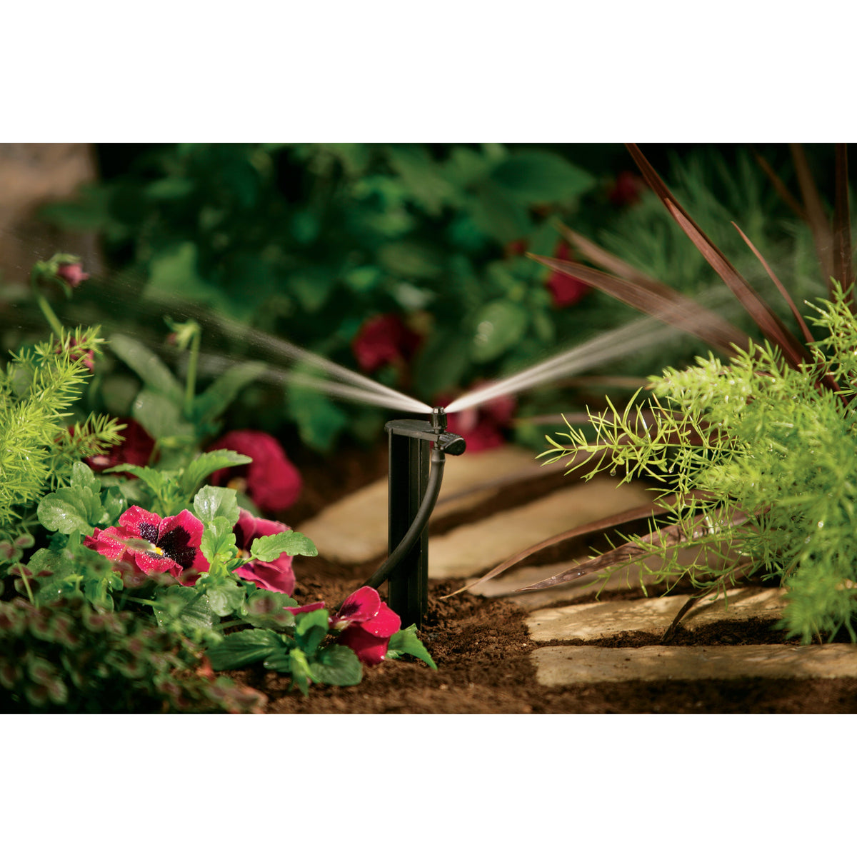 Orbit Irrigation 1/4-inch barb micro-sprinkler on 12-inch stake, center strip spray on Tampa Home & Garden Store