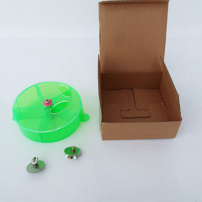 Parrot Supplies acrylic wind wheel bird toy neon green wheel with pink center and pegs on Tampa Home & Garden Store