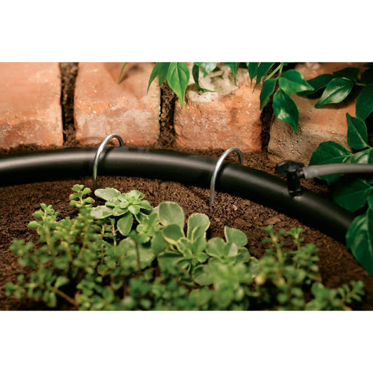 Black 1/2 inch drip tubing across soil in brick garden bed with green leaves on Tampa Home & Garden Store