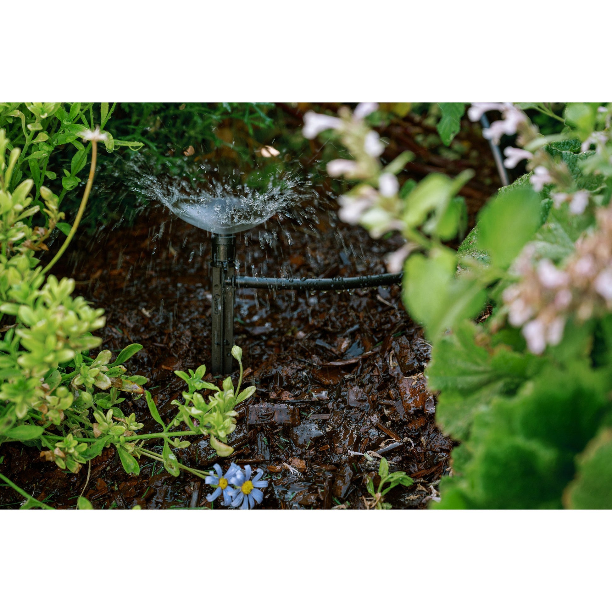 Patio & Potted Plant Kit 67523 drip irrigation system with black tubing Orbit Irrigation on Tampa Home & Garden Store