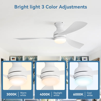 HouseOfZazla 52in low profile ceiling fan with lights, white blades, dimmable LED on Tampa Home & Garden Store
