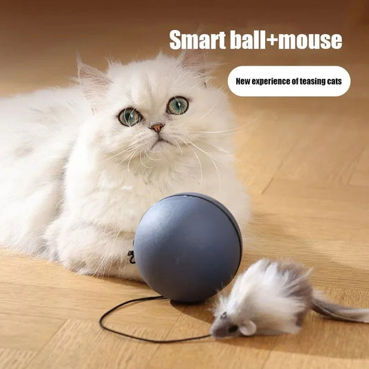 Cat Toy Mouse Teaser Ball electric rolling ball for pets, Smart ball+mouse by Sell My Stuff on Tampa Home & Garden Store