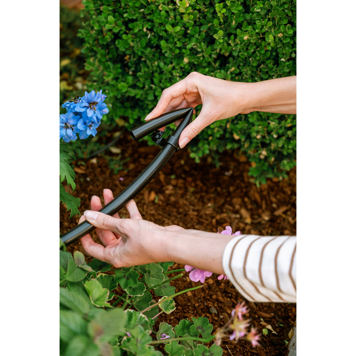 Orbit 1/2in drip figure-8 end fitting in black plastic being attached to tubing on Tampa Home & Garden Store