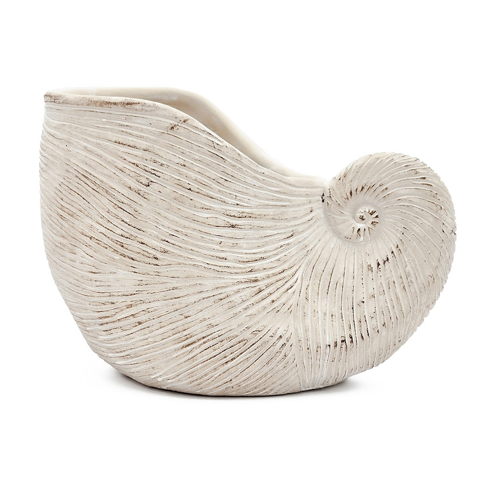 Nautilus shell planter sand beige textured cement finish by HouseOfZazla on Tampa Home & Garden Store
