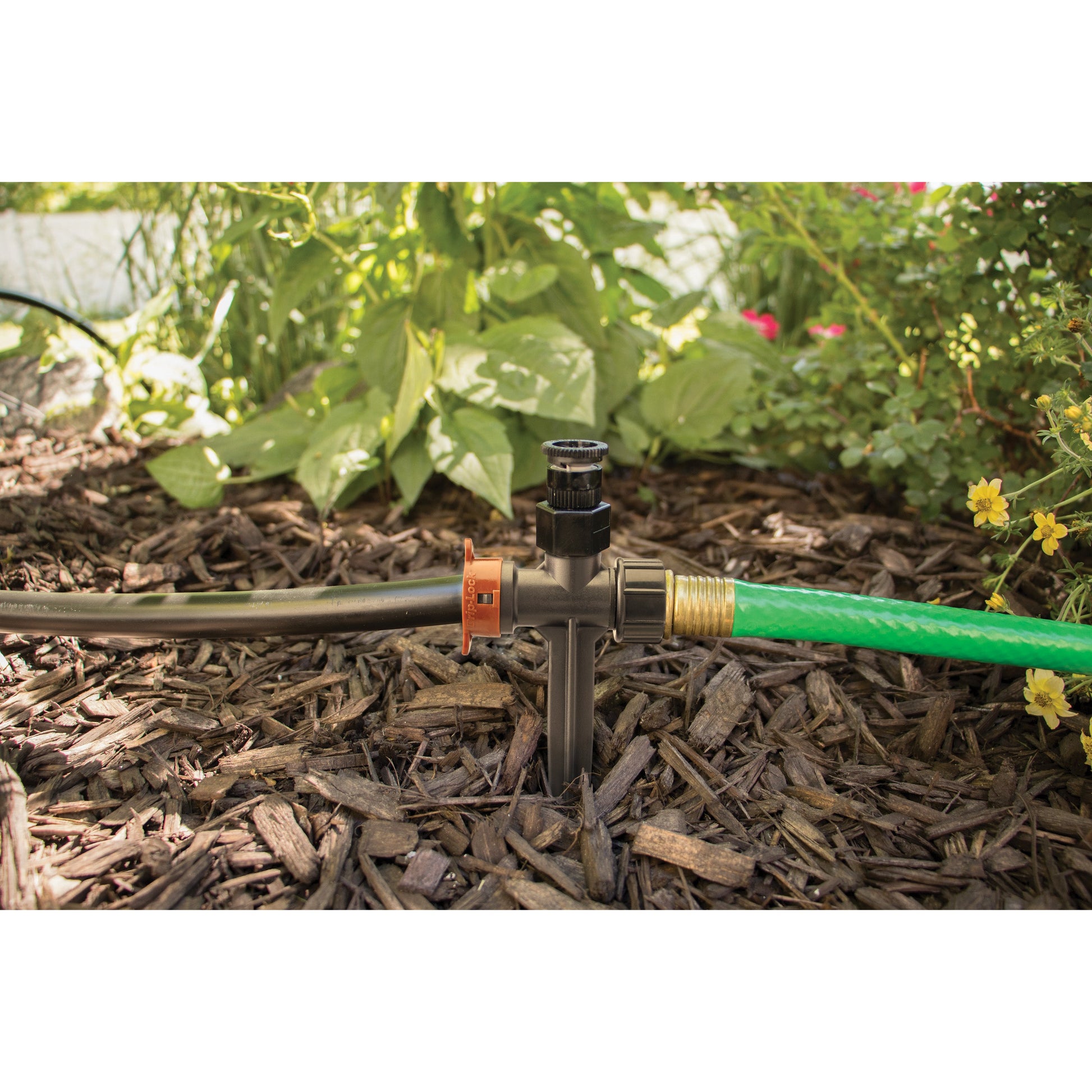Orbit drip-tube stake faucet, 1/2in MPT to 1/2in tubing, black valve in mulch on Tampa Home & Garden Store