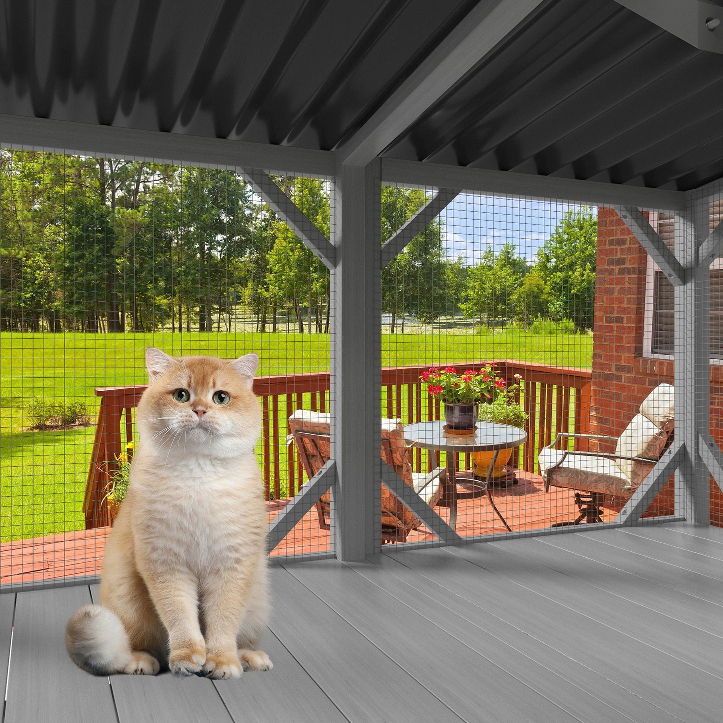 HouseOfZazla Cat Window Box cage with grey metal mesh enclosure and cat inside on deck on Tampa Home & Garden Store